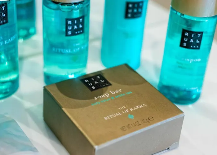 Petit Palais מלון 4*