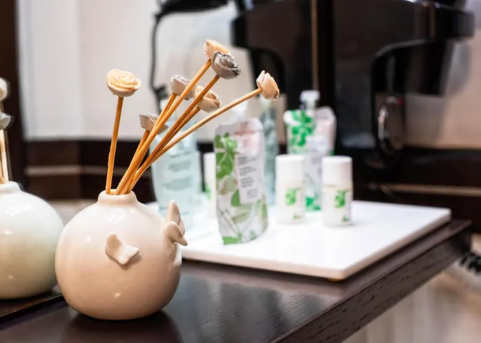 Petit Palais 4* ונציה - לידו