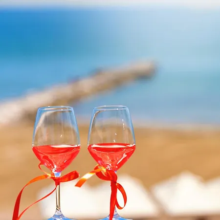 Petit Palais Hotel 4*