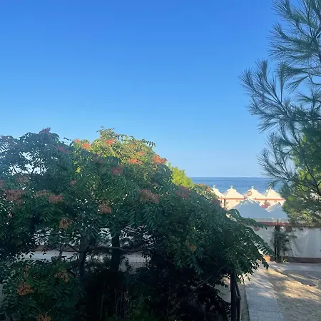 Petit Palais ヴェネツィア・リド島