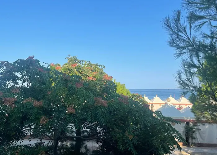 Petit Palais Lido di Venezia